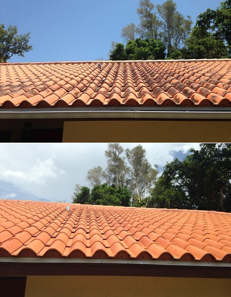 roof cleaning cape coral ft myers naples